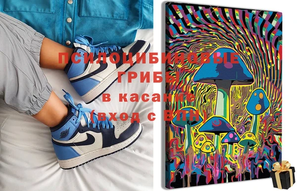 мдма Гусев