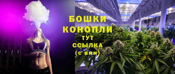 винт Гусиноозёрск