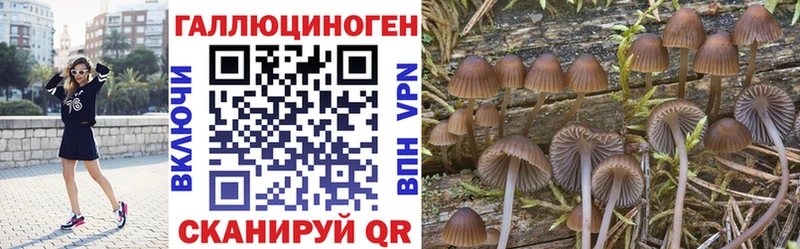Псилоцибиновые грибы мухоморы  даркнет сайт  Елизово 